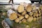 Stockpile of cut logs for winter heating