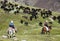 Stockriders with flock in Alay mountains on pastureland