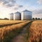 Stocks of grain in granaries. Agriculture, grain deal concept, metal grain storage stands in a field