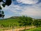 Stolova mountain and Devin, Palava Protected Landscape Area, Czech republic, Pavlov Hills