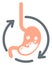 Stomach Acidity Icon Illustration