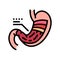 stomach anatomy gastroenterologist color icon vector illustration