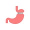 Stomach banding isolated. Adjustable Gastric Band. vector illustration