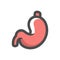 Stomach digestive organ Vector icon Cartoon illustration