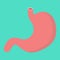 Stomach flat icon, medicine and healthcare