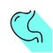 Stomach flat line icon. Vector thin pictogram of human internal organ