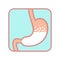 Stomach human graphic icon