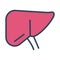 Stomach human organ half line and color style icon