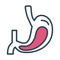 Stomach human organ half line and color style icon