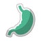 Stomach human organ icon