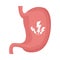 Stomach human organ isolated icon