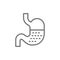 Stomach, human organ line icon.