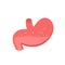 Stomach icon. Human organ of digestive system, stomach with acid in flat style