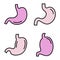 Stomach icons vector flat