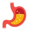 Stomach  illustration