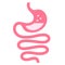 Stomach and intestine, digestive system icon
