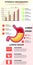 stomach organ infographic vector template concept with chart and other elements