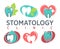 Stomatology clinic tooth and heart vector icons templates