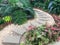 Stone alley arranged in a small garden