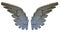 Stone Angel Wings