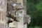 Stone angel woman gargoyle sculpture at church entrance