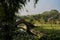 Stone arch bridge in Wangjiang Park on sunny winter day