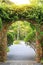 Stone arch entrance gate covered with ivy. Archway to the park with sunlight