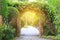 Stone arch entrance gate covered with ivy. Archway to the park with sunlight