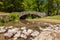 Stone Arch Footbridge In The Woods