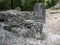 Stone artifacts in Nation`s most significant Mayan city of Tikal Park, Guatemala