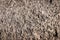 Stone background. Brown rough solid rocky material. Natural porous surface