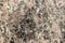 Stone Background of mottled granite igneous rock used for kitchen worktops etc