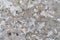 Stone background with textured surface and Lichen Moss. Pattern mineral with rough structure and lichen. mountain backdrop.