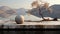 A stone ball on a ledge next to a tree