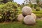 Stone balls at a park