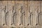 Stone bas-relief in ancient city Persepolis, Iran.