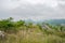 Stone battlements on weedy hilltop in cloudy spring afternoon