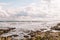 Stone Beach sea coast storm and bird