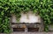 Stone bench and ivy on old rural house wall, Provence, France