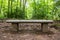 Stone bench in the middle of a beautiful wild forest