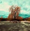 Stone bench sits in peaceful solitude beneath a large, leafy tree in front of a cloudy sky