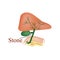 Stone bile duct. Gallbladder, duodenum, pancreas, bile ducts. Vector illustration on isolated background