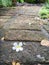 The Stone block walk path in the park