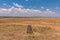 Stone blocking marking showing the border of the Serengeti and Maasai Mara Triangle National Game Reserve Park And Conservation Ar