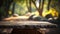 Stone board empty table in front of blurred background. perspective brown stone over blur trees in forest. Generative ai