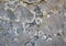 Stone boulder. Lichens on stones. Calcites. Beautiful stone flowers.
