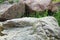 Stone boulders on the Bay shore