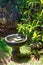 Stone bowl with water and flowers