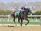 Stone Breaker Winning at Aqueduct