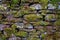 Stone brick wall with natural vegetation growth